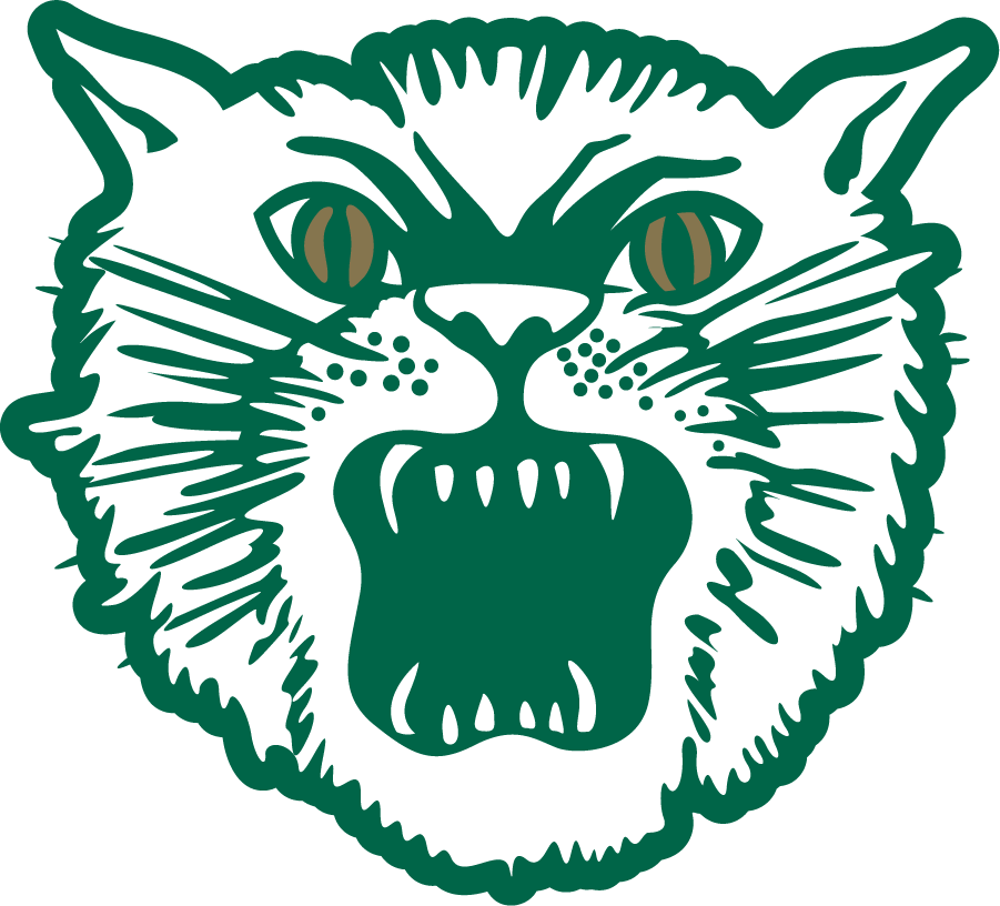 Ohio Bobcats 1958-1978 Alternate Logo v2 diy DTF decal sticker